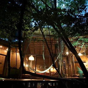  Villa Ojo De árbol, Boutique In The Jungle. Relax